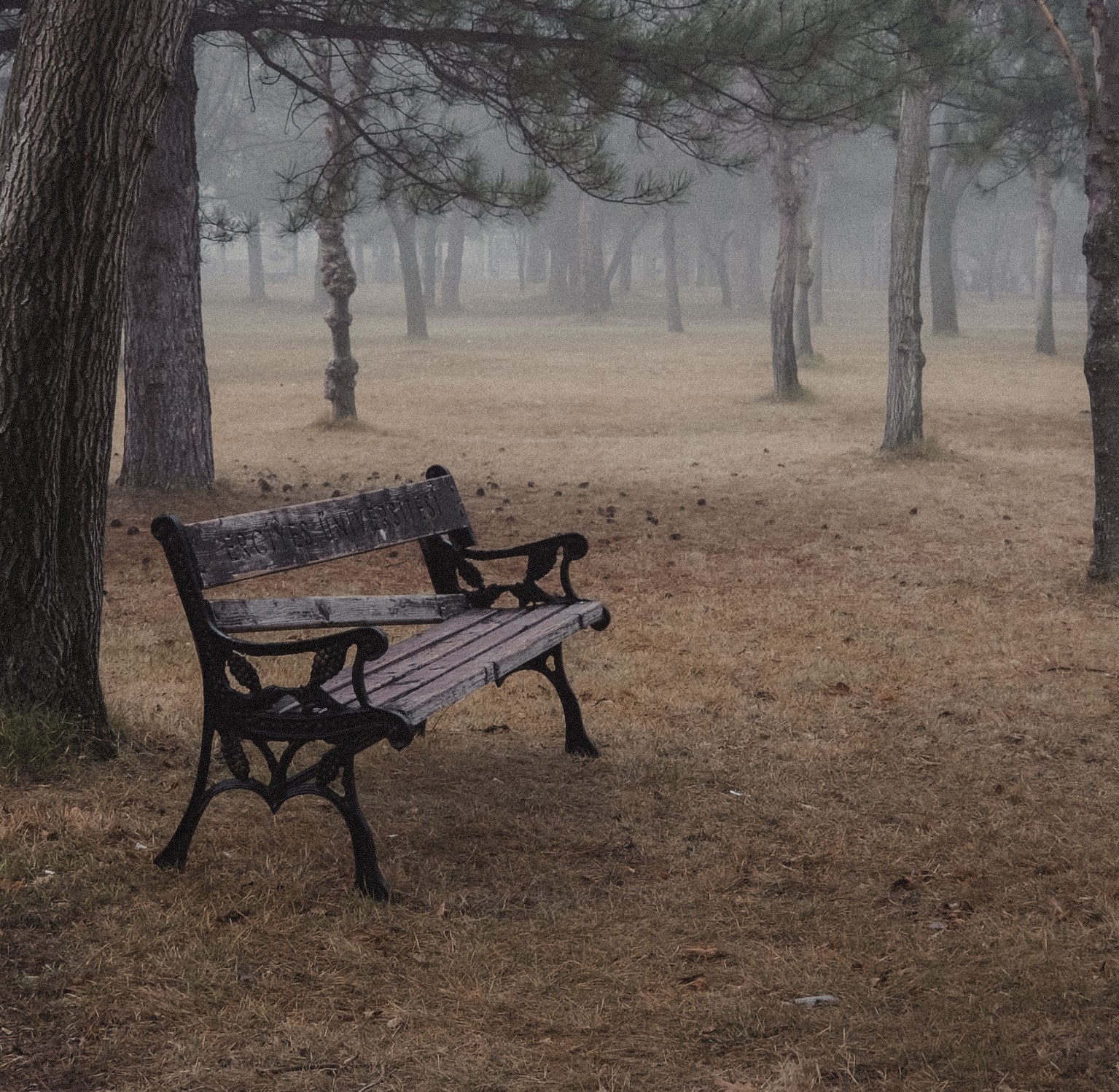 Facebook account overledene verwijderen, leeg bankje in mistig park symboliseert digitaal afscheid